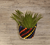 Handwoven Planters From KalaGhar